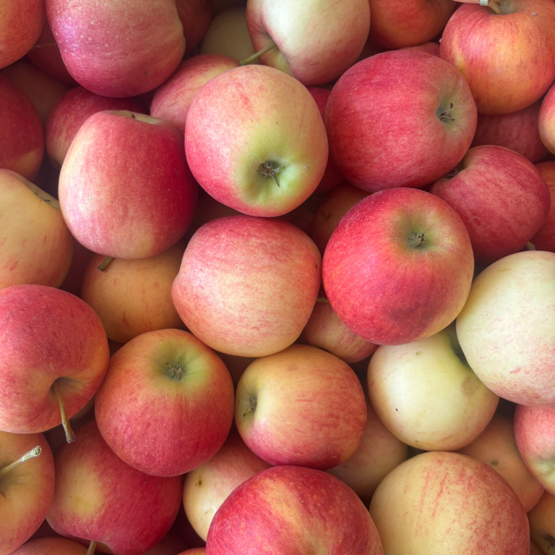 B.C. Fruit