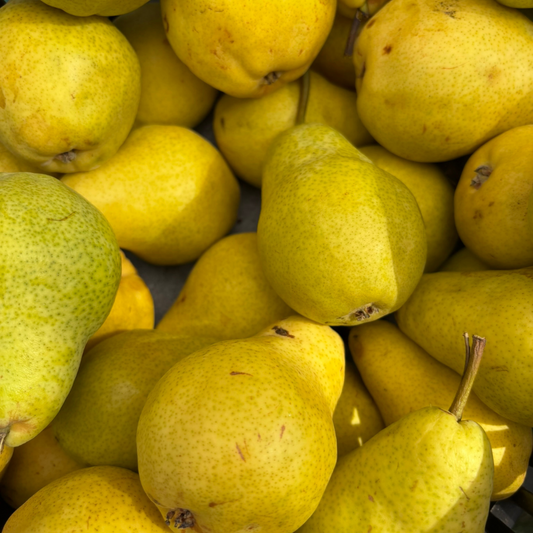 B.C. Bartlett Pears