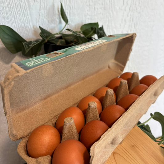 Mans Eggs