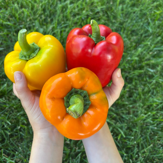 Sweet Bell Peppers