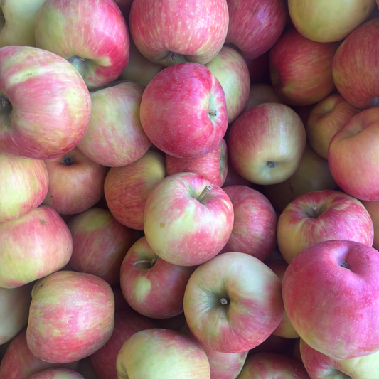 B.C. Honey Crisp Apples