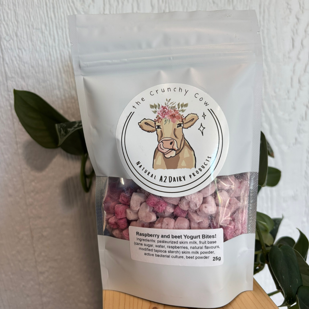 Freeze Dried Yogurt Bites