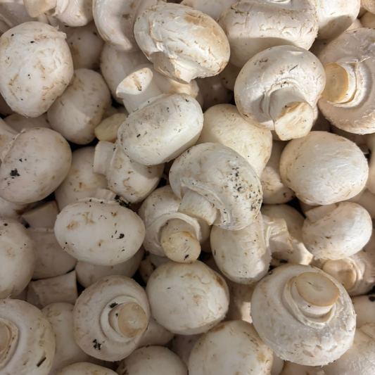 White Mushrooms