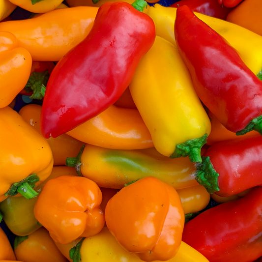 Mini Bell Peppers